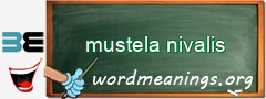 WordMeaning blackboard for mustela nivalis